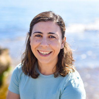 La newsletter de newsletters 